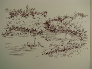 pen sketch showing the 4 egrets at rest